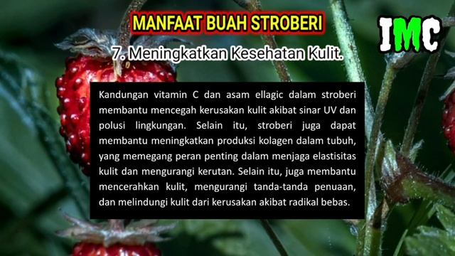 Manfaat Buah Stroberi. || Segar… Lezat… Nikmat... Menyehatkan…