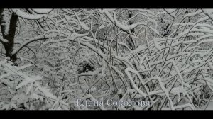 Зулейха открывает глаза. Роман. Слушать. 1 страница.