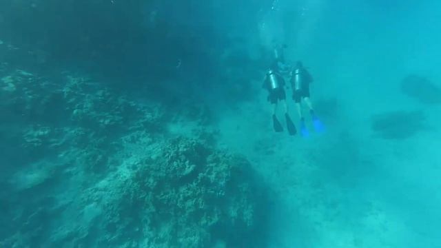 Как проходит - Дайвинг в Шарм эль Шейхе (остров Тиран)