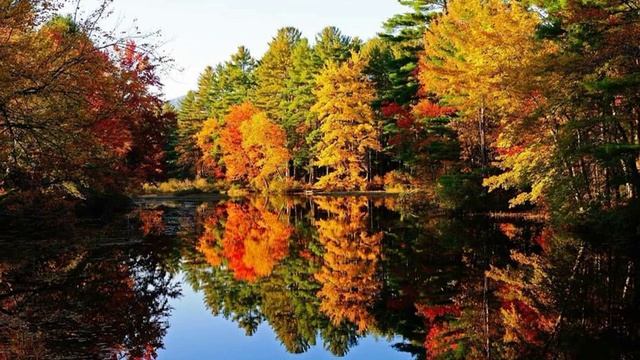 Шаг на встречу. смотреть онлайн