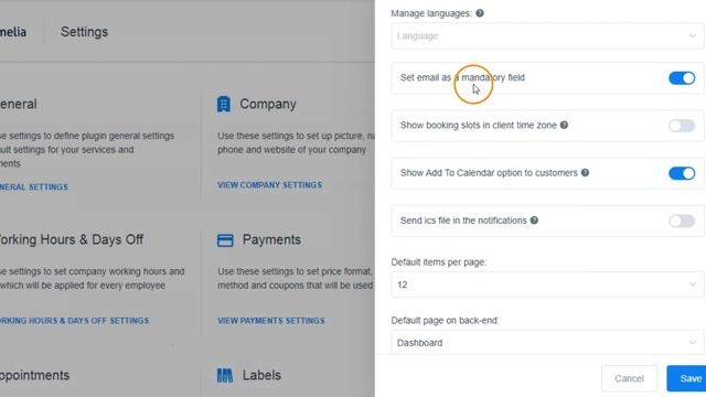 How to setup general configuration of Amelia plugin | WordPress Booking Plugin смотреть онлайн