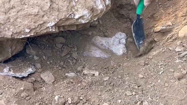 TREASURE HUNT THE GREAT STRUGGLE OF TRACTOR GIVE RESULTS |TREASURE HUNT смотреть онлайн