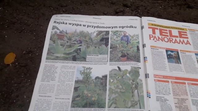 Zibi w gazecie смотреть онлайн