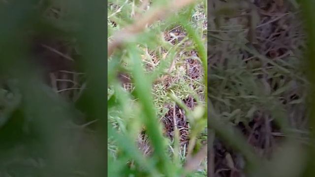 мы ищем находки на улице смотреть онлайн