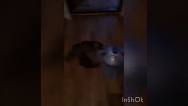 Как правильно подготовить раков к варке ?? смотреть онлайн