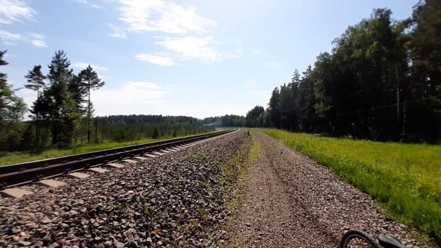 Движение дизель-поездов у станции Старые Дороги, Минская область, Беларусь смотреть онлайн