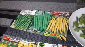 ?☀️Спаржевую фасоль собираю ведрами! ?Обзор самых удачных семян на 2022 год!