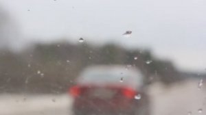 Туда, где Весна и волшебная Долина....(Аника Далински)