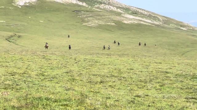 Скачки на горе ТурчиДаг на день чабана! 2023 г смотреть онлайн