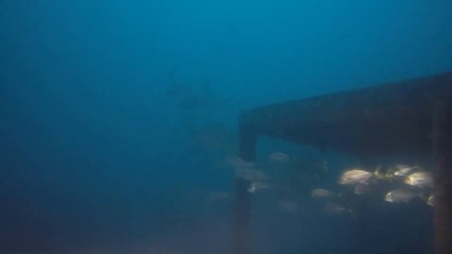 Vandenberg Wreck 2018 смотреть онлайн