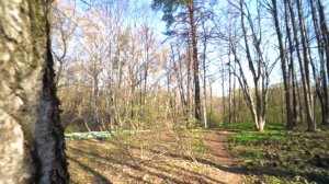 Александр Брат. Базовая медитация 30 минут