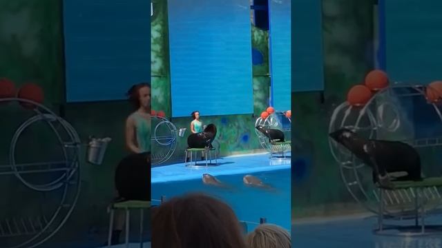 Красавица Марина??? смотреть онлайн