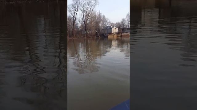 Seanova 5л.с загрузка 160кг смотреть онлайн