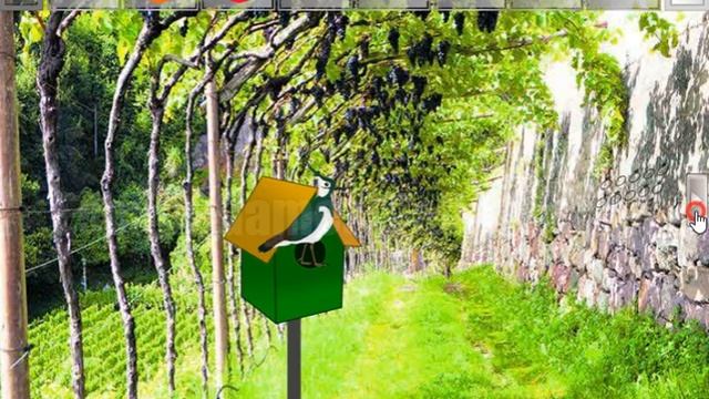 G2R Succour The Pet Dog Walkthrough [Games2Rule] смотреть онлайн