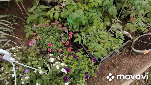 ВЕСЕННИЙ ДЕНЬ-ГОД КОРМИТ!ОВОЩАМИ,МЯСОМ И ЯЙЦАМИ БУДЕМ ОБЕСПЕЧЕНЫ!КАК ПОТОПАЕШЬ-ТАК И ПОЛОПАЕШЬ! смотреть онлайн