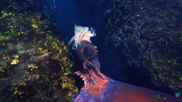 Лидия Солдатенко - Русалочки