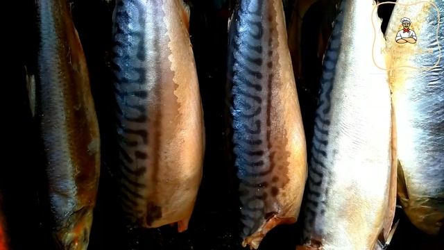 ?Как коптить скумбрию? Скумбрия холодного копчения.How To Smoke Mackerel?  Cold Smoked Mackerel.