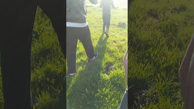 Бабкины семечки смотреть онлайн