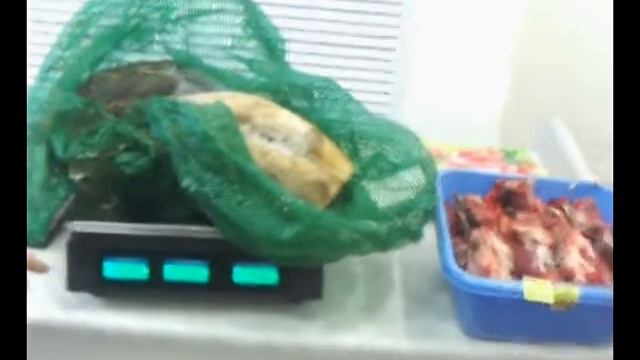 Осетра изъяли Шимановск смотреть онлайн