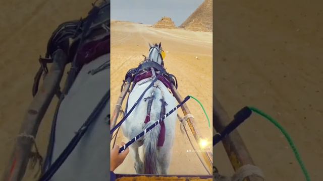 Sofiya Egypte 😍 смотреть онлайн