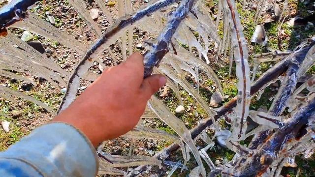 Дачные сосульки 2 смотреть онлайн