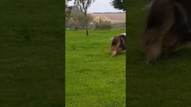 monsolana and Aaronwell смотреть онлайн