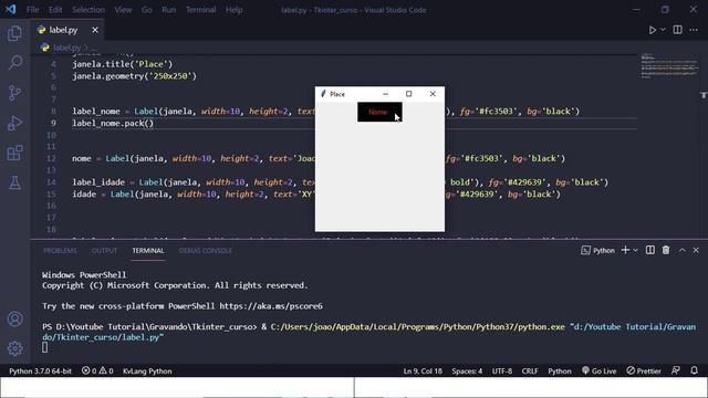 Curso Python Tkinter - place(), pack() , grid() no Tkinter смотреть онлайн