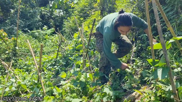 FULL VIDEO : 150 Days Of Survival In The Wilderness, Survival Alone, Survival Instinct