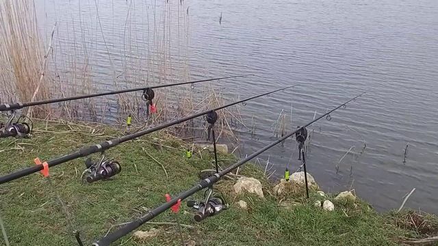 #рыбалка в краснодарском крае