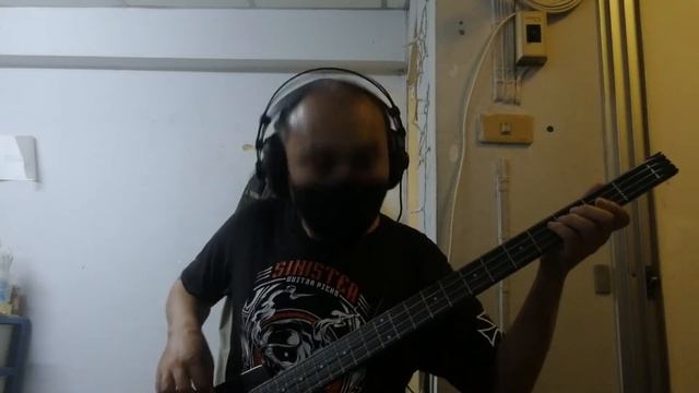 Rammstein - Amerika (Bass Cover) смотреть онлайн