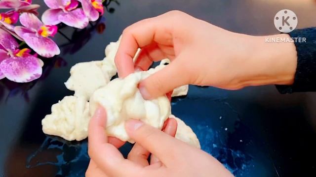 Наука о Животных и их Поведение