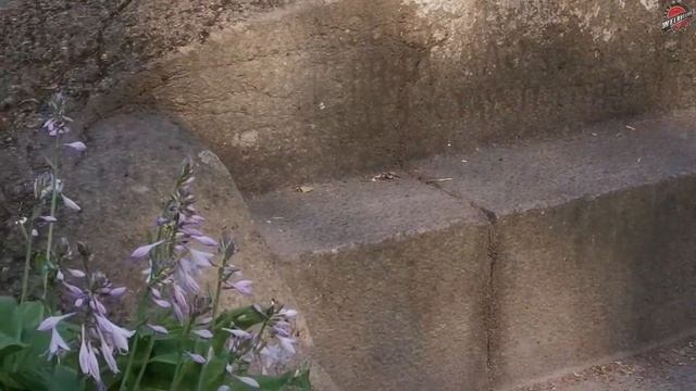 Древняя каменная скамья Екатерины II в Ораниенбауме со старыми надписями смотреть онлайн