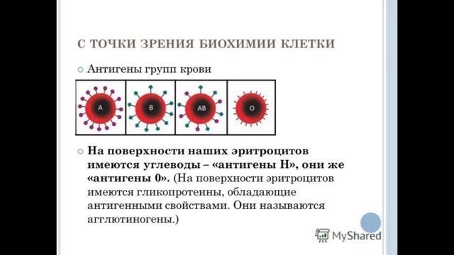 Анатомия и физиология - Лекция 40 - Защитная система организма смотреть онлайн