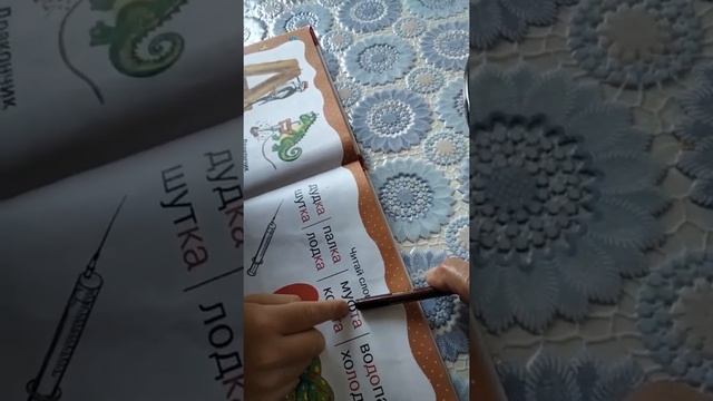 Дом, дракон и дятел - начинаются с буквы "Д". смотреть онлайн
