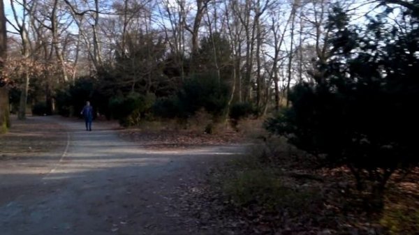 Дешевый стабилизатор для GoPro и Sony RX0. Feiyu Tech Vlog Pocket