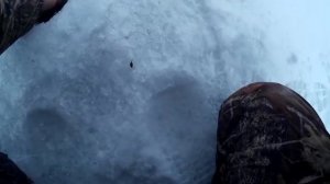 БЕЗМОТЫЛКА. РЫБАЛКА НА БЕЗМОТЫЛКУ  КРУПНЫЙ ОКУНЬ