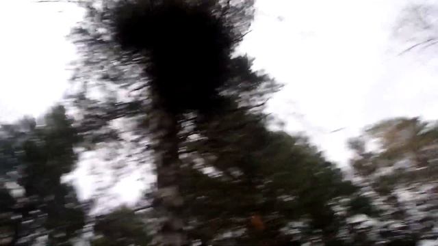 В поисках Торгашинского кота смотреть онлайн