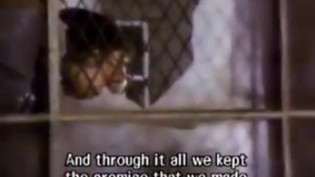 Skid Row I Remember You смотреть онлайн