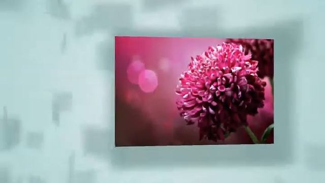 Цветы часть 1 смотреть онлайн