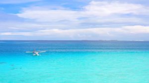 Красивая природа - тропики пляжи и побережье с пальмами