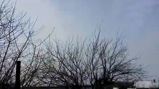 Сокол, помощник в тренировках голубей. смотреть онлайн