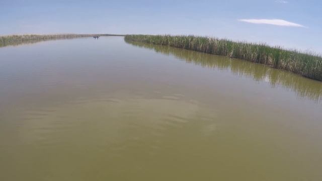 ВОТ ЭТО МЫ НАРВАЛИСЬ! Лучшая РЫБАЛКА в Сезоне! Рыбалка 2022 смотреть онлайн