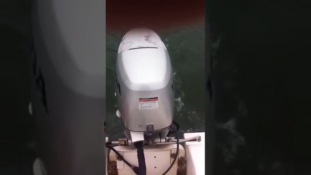 Honda BF50 Knock At Trolling Speed