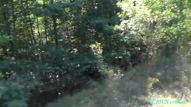 Финарос - Шелковичное / Коуш / Село которого нет. смотреть онлайн