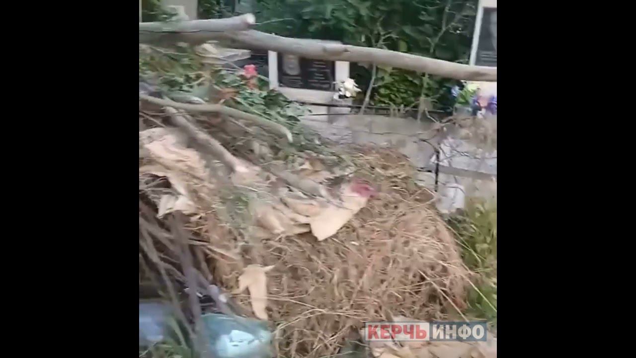 «Мама пришла и плакала»: керчанка рассказала о беспределе на городском кладбище смотреть онлайн