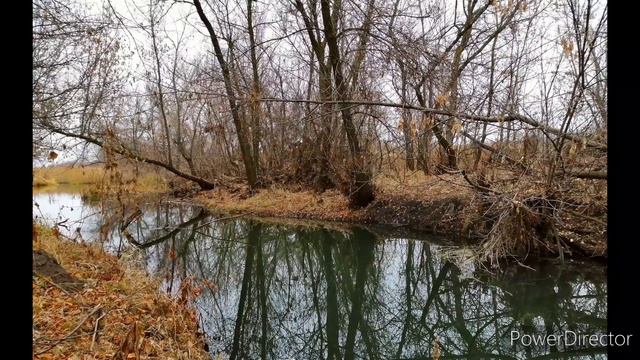 МОЯ ОСЕННЯЯ ГРУСТЬ... смотреть онлайн