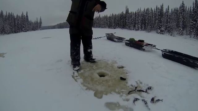 ЗИМНЯЯ РЫБАЛКА НА МОТОБУКСИРОВЩИКЕ PAXUS смотреть онлайн