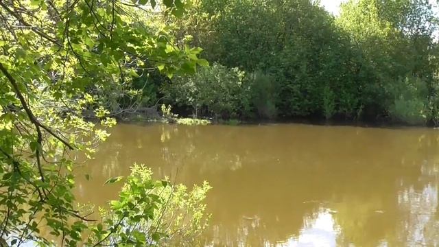 Летняя мормышка.Высокая вода на малой реке не повод сидеть дома.. смотреть онлайн