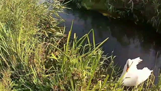 ДРОЖАЛИ РУКИ КОГДА ДОСТАЛ. ПОИСКОВЫЙ МАГНИТ.mp4