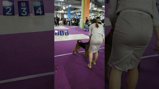 VID 20190331 120929